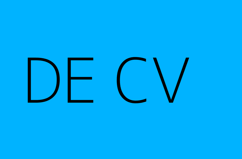 DE CV & PARTNERS S.L.